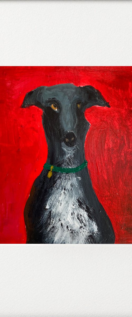 Posing Black Greyhound on Bright Red by Teresa Tanner