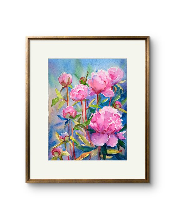 Peonies flowers