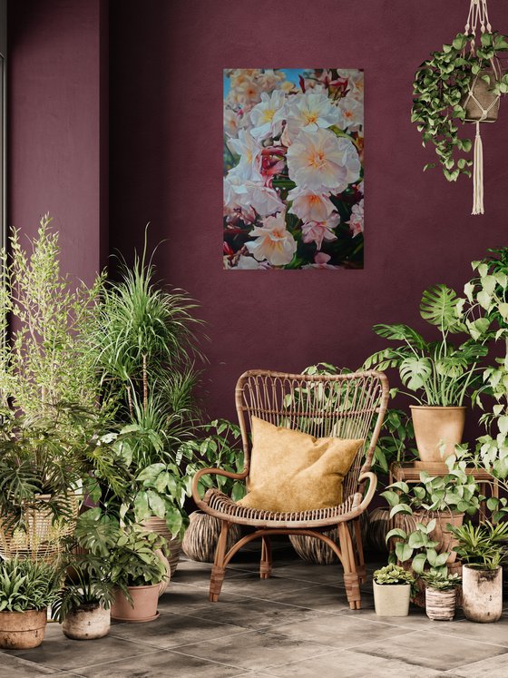Blooming oleander
