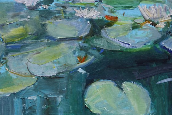 "Water Lilies "