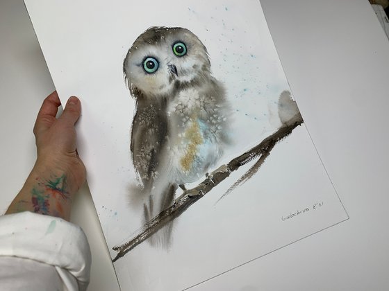 Little owl on a branch #3