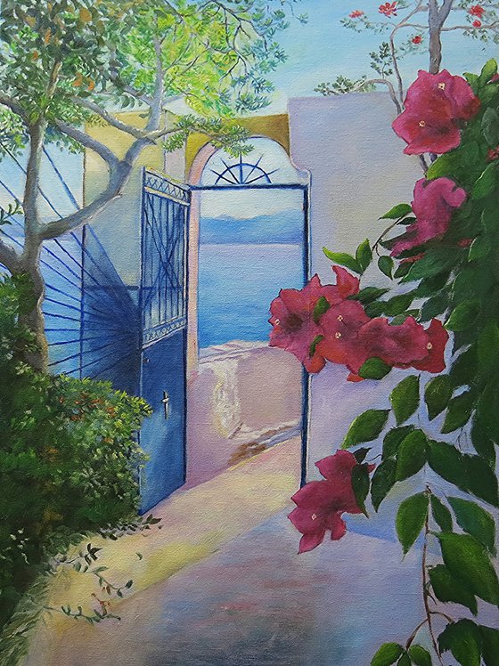 Bougainvillea and Greek Sunshine