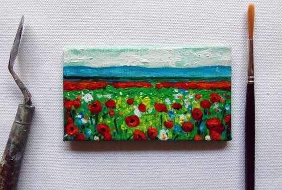 Poppy Field #6