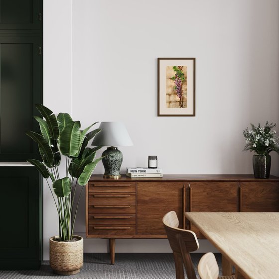 Whispers Through the Wall – Grapevine