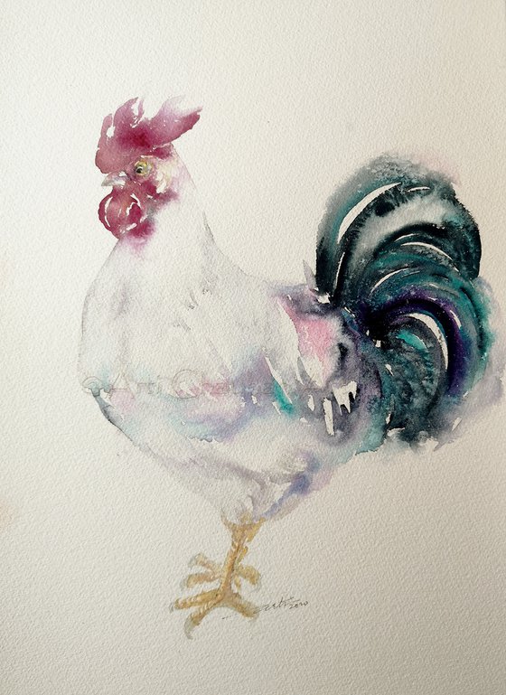 White Rooster_ Mave