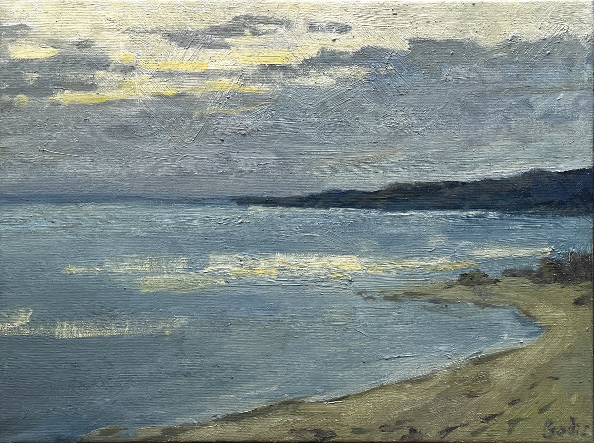 Impressionistic Landscape Oil Painting By Bohdan Dobrivskyi, 16 X 12, Dnipro River, Original Artwork