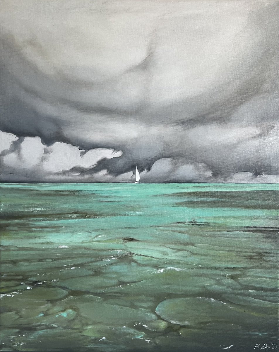 Photorealistic Landscape Oil Painting By Myroslava Denysyuk, 16 X 20", Shallow Water, Original Artwork