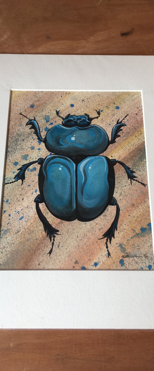 Dung Beetle by Matt Buckett