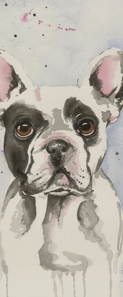 'Frenchie' by Nicola Colbran