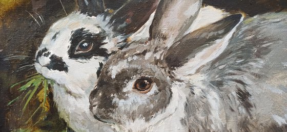 Two rabbits