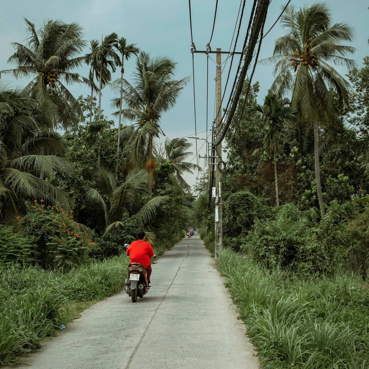 Photorealistic Landscape Photograph By Serge Horta, 17 X 17", Rural Roads Of Saigon No.2, Original Artwork