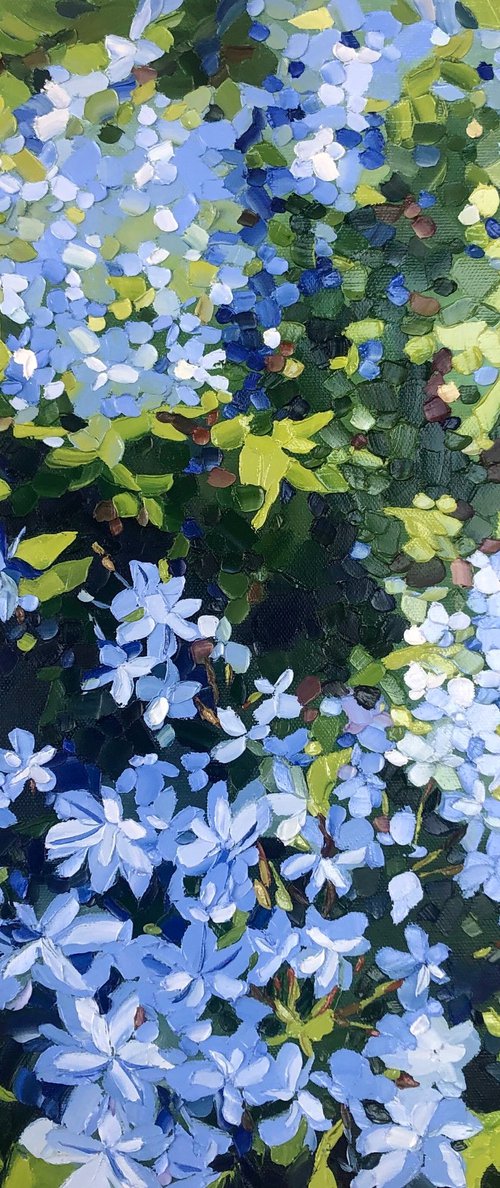 Royal blue of Monaco by Ulyana Korol