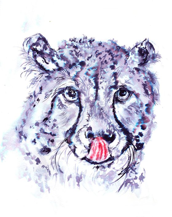 Cheetah