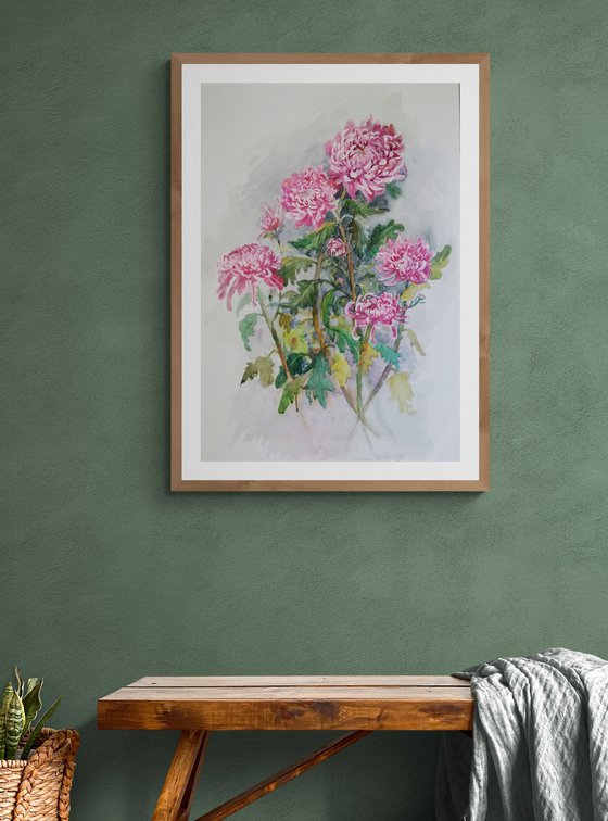 Pink Chrysanthemums Elegance
