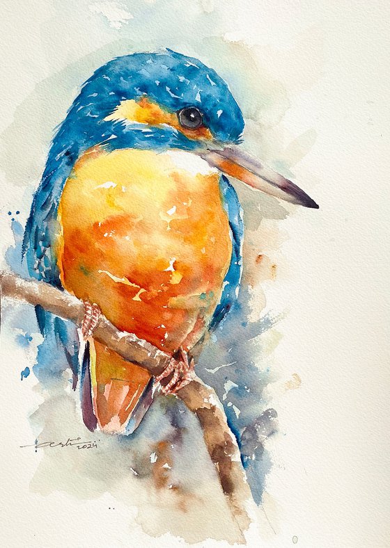 Kingfisher Kyra