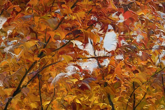 "Light Between the Trees"