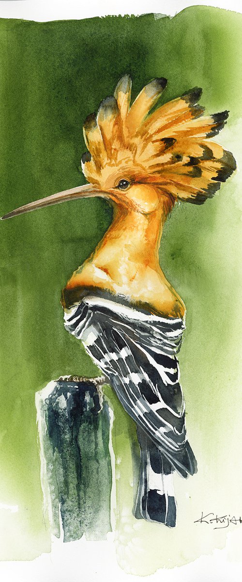 Hoopoe, wildlife, birds watercolours by Karolina Kijak