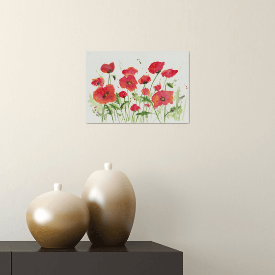 Poppies in Meadow