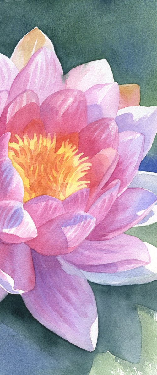 Pink water lily original watercolor painting gift for her by Julia Logunova