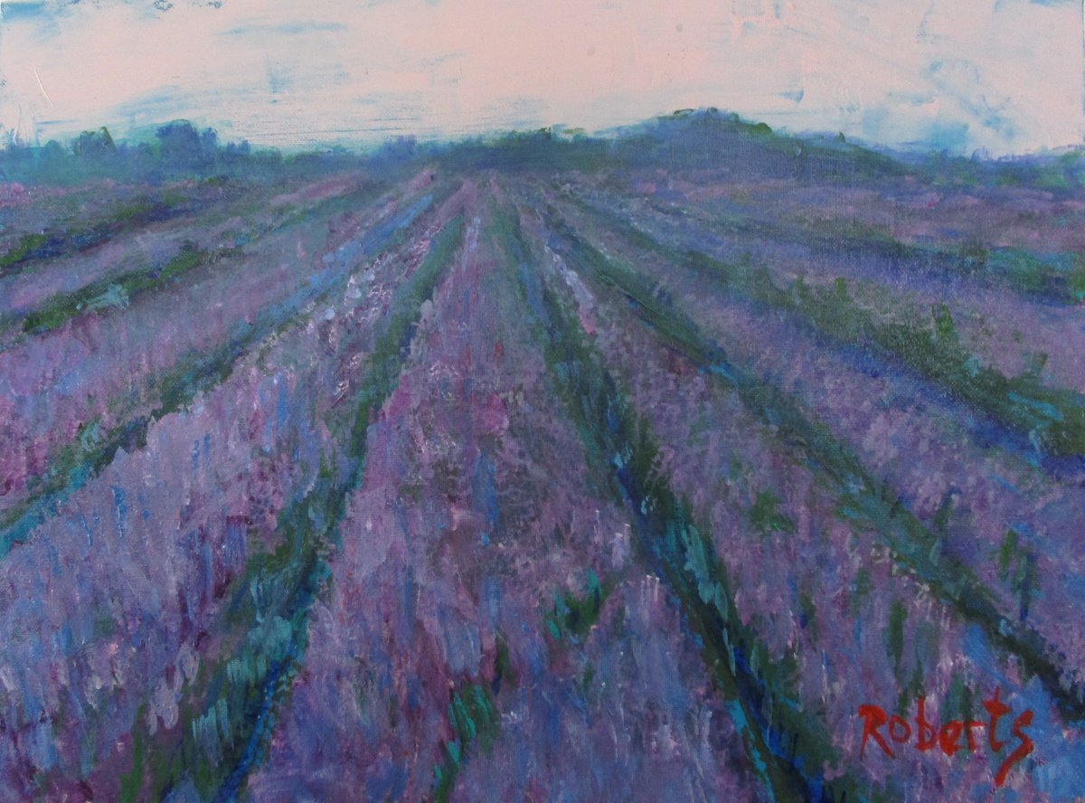 Lavender fields forever by Rosalind Roberts