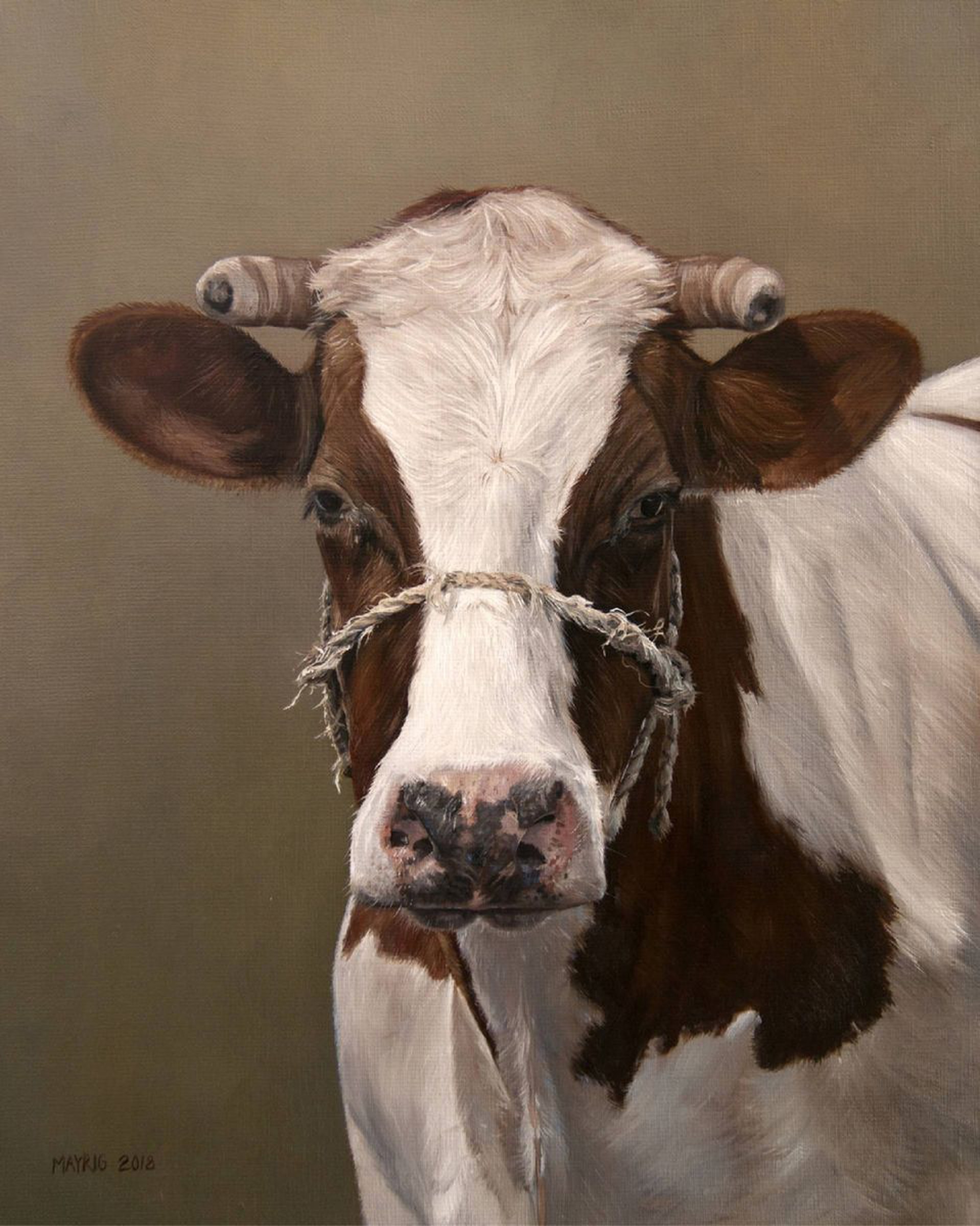 Portrait Of A Cow Original Oil Painting Artfinder