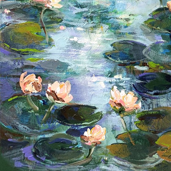 Lily pond