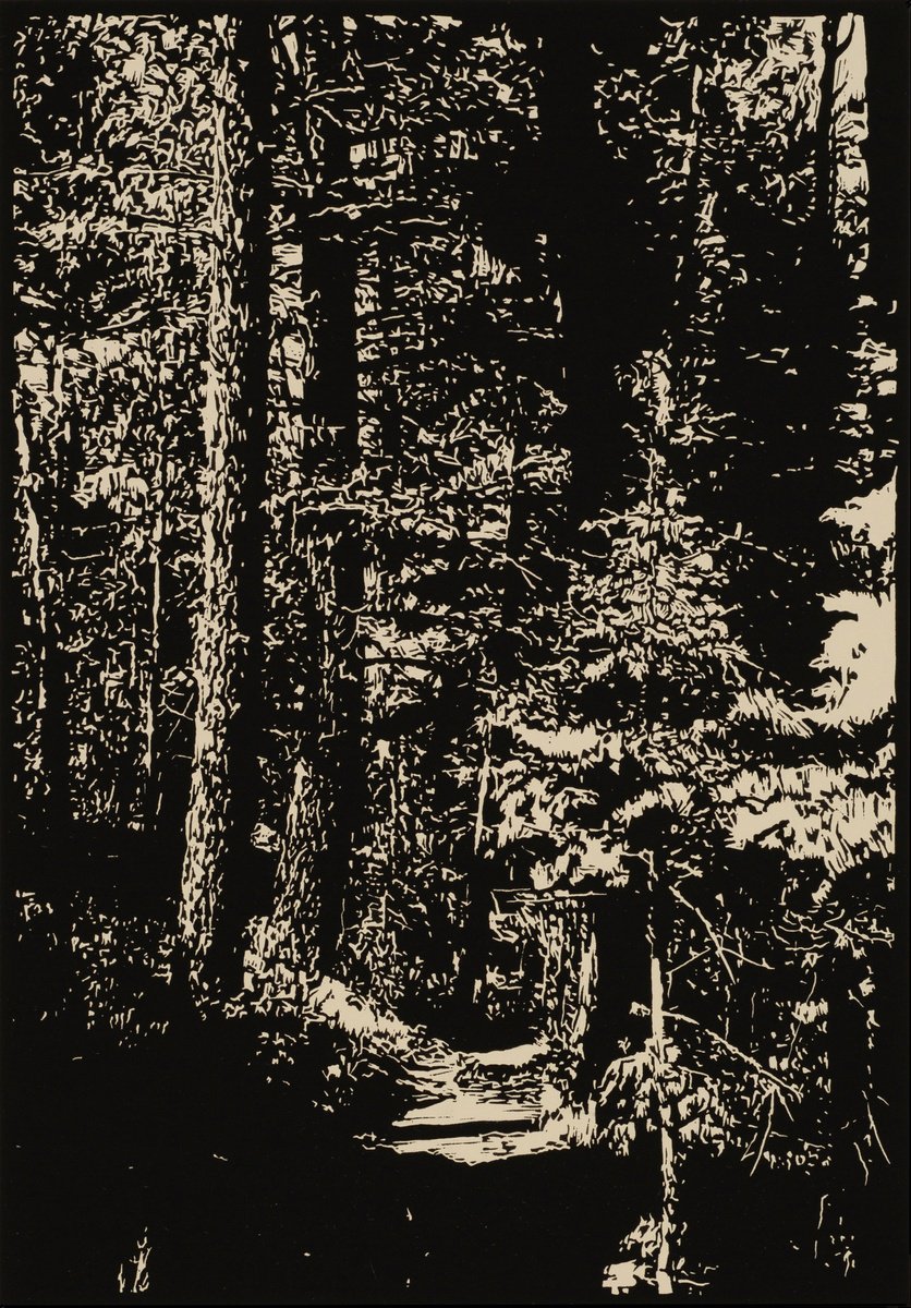 Photorealistic Linocut , Mule Trail By David Conn, 15 X 22, Artwork For Sale On Artfinder