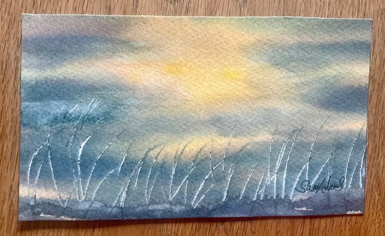 Sunset grasses