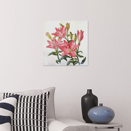 Pink lilies