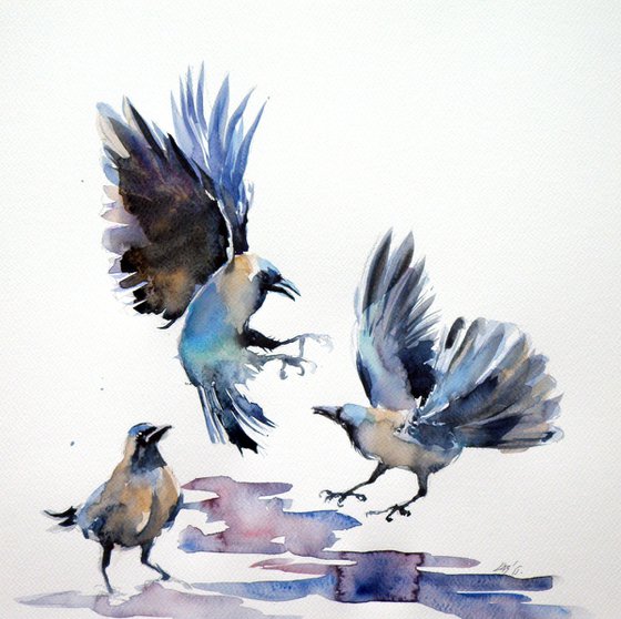 Crows