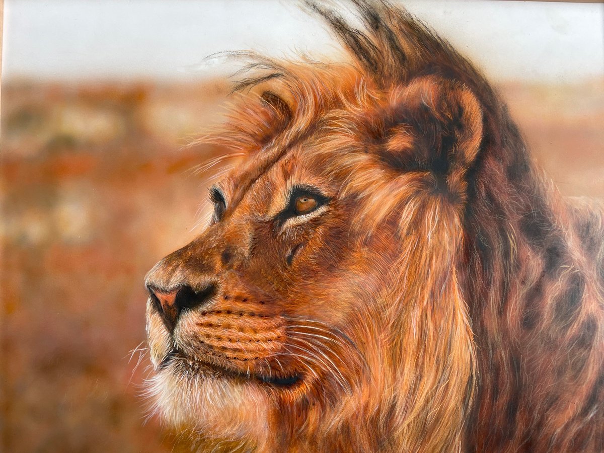 Photorealistic Animal Acrylic Painting By Maria Arias, 16 X 12", Lion, Original Artwork