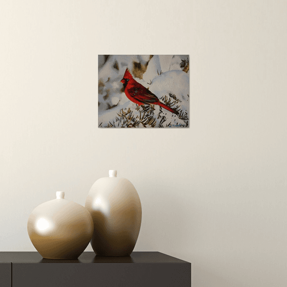 Cardinal Bird