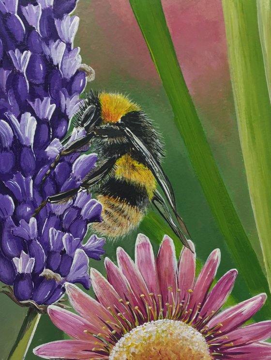 Bumble on purple