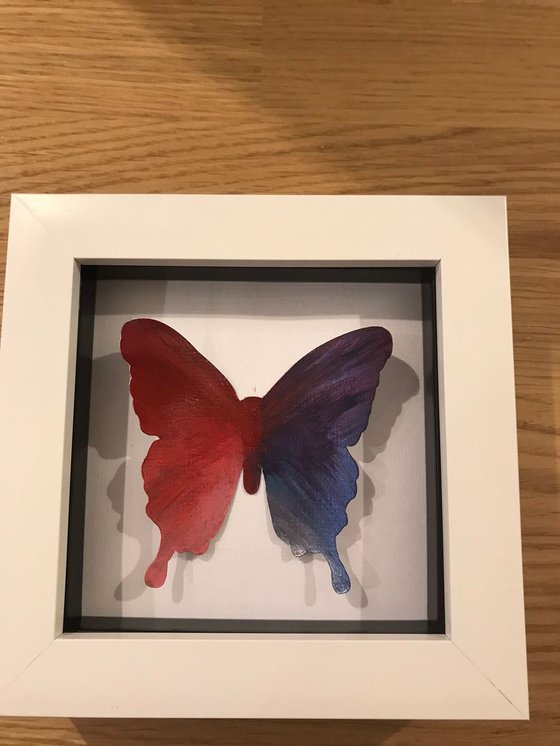 Single butterfly - Red & Purple