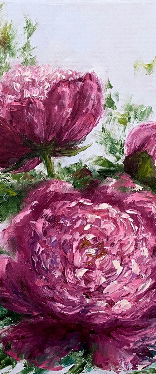 Peony beauty by Olga Kurbanova