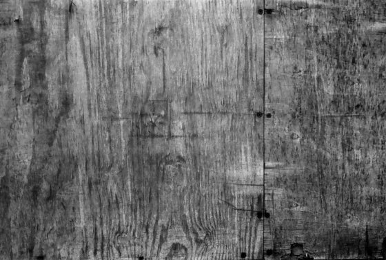 Grain - Unmounted (18x12in)