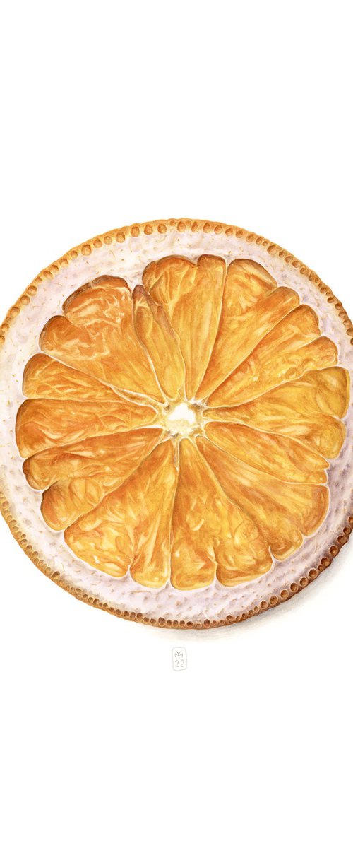 Dried Orange Slice by Yuliia Moiseieva