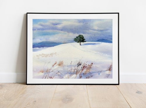 Sunny winter day. Lonely pine tree on a snowy field by SVITLANA LAGUTINA