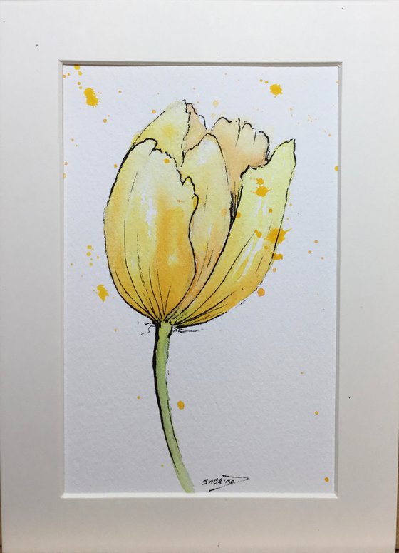 Yellow tulip