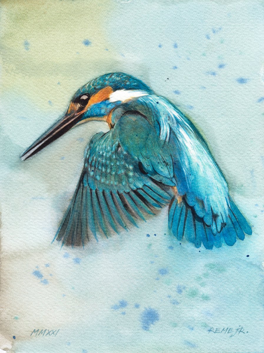 BIRD CCI - Kingfisher by REME Jr.
