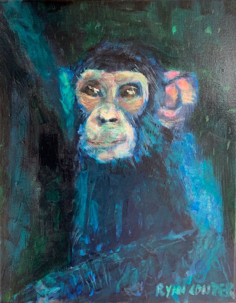 Chimpanzee Swinging by Ryan Louder