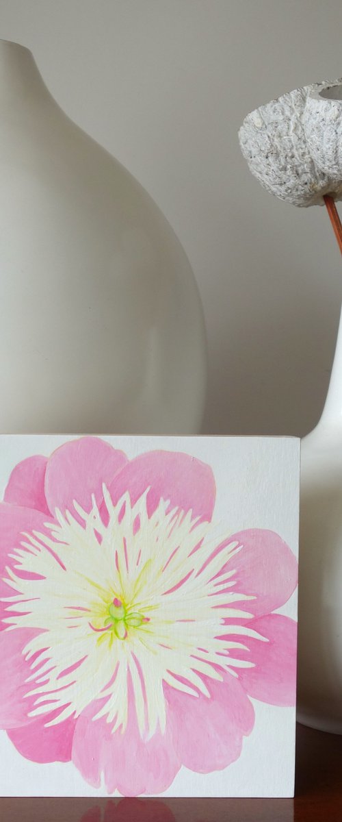 Pink Peony by Susan Porter