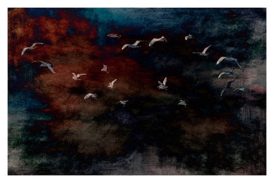 Flight, No.1 - 36 x 24"-  After Series