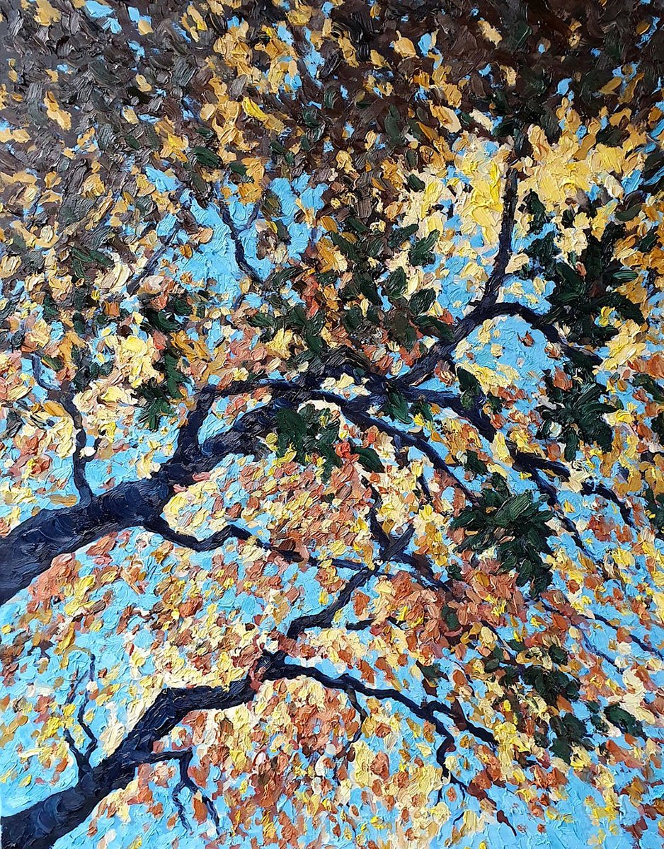 autumn XXV by colin ross jack