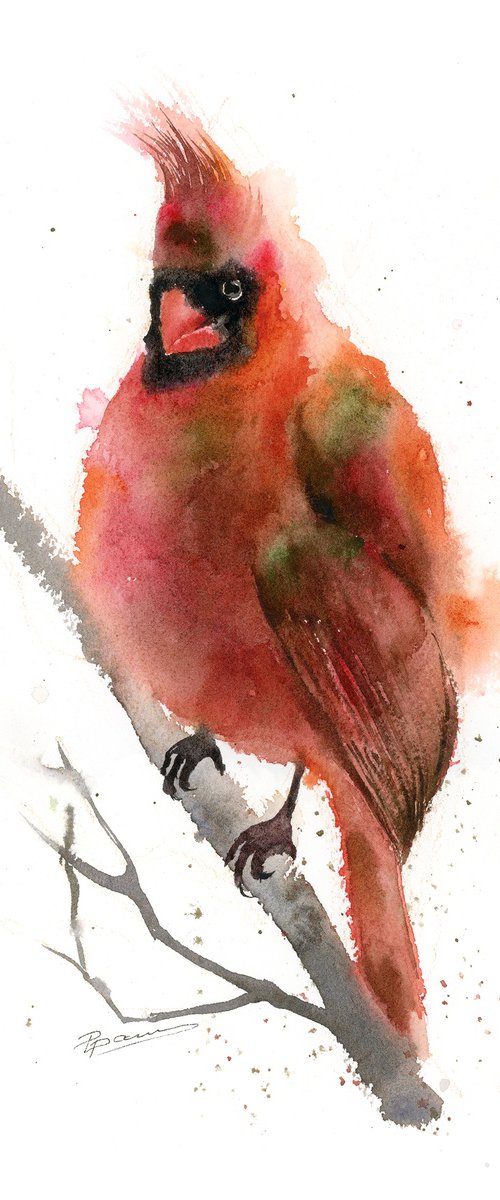 Fat Cardinal - Original Watercolor by Olga Tchefranov (Shefranov)