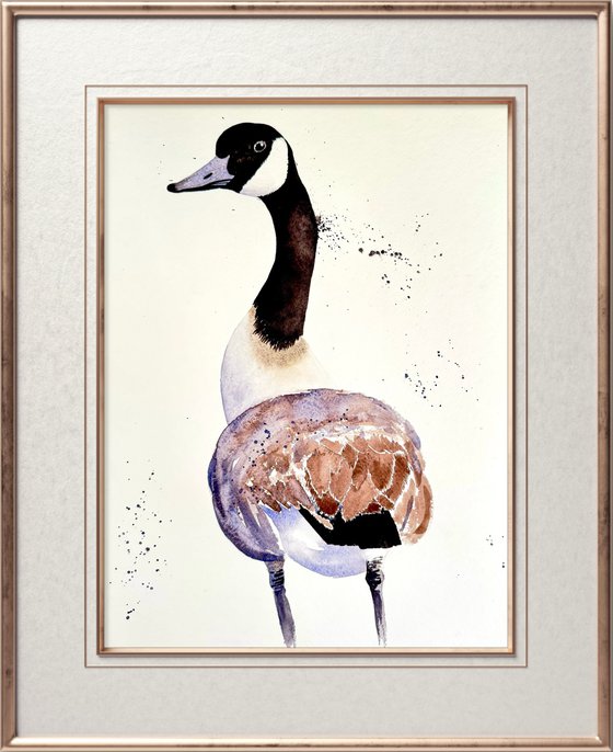 Curious duck Black long neck