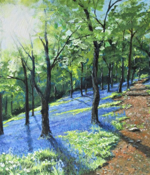 Bluebell Woods 5 by Max Aitken
