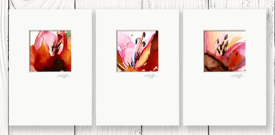 Soul Flower Collection 13 - 3 Flower Paintings by Kathy Morton Stanion