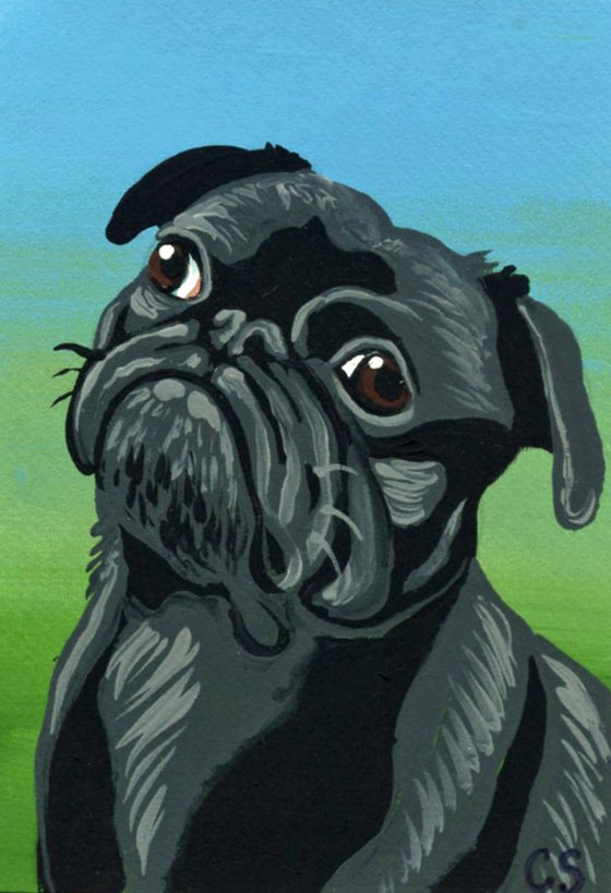 ACEO ATC Original Miniature Painting Black Pug Pet Dog Art-Carla Smale