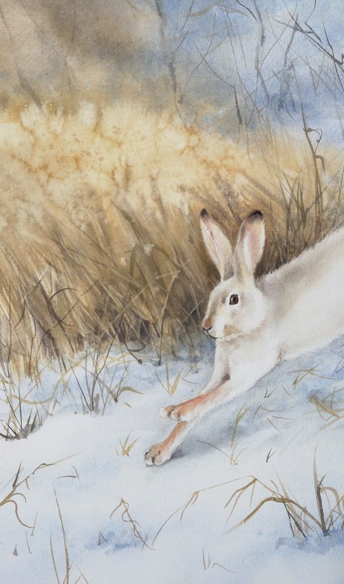 Snow Hare Running in the Snow by Olga Beliaeva Watercolour